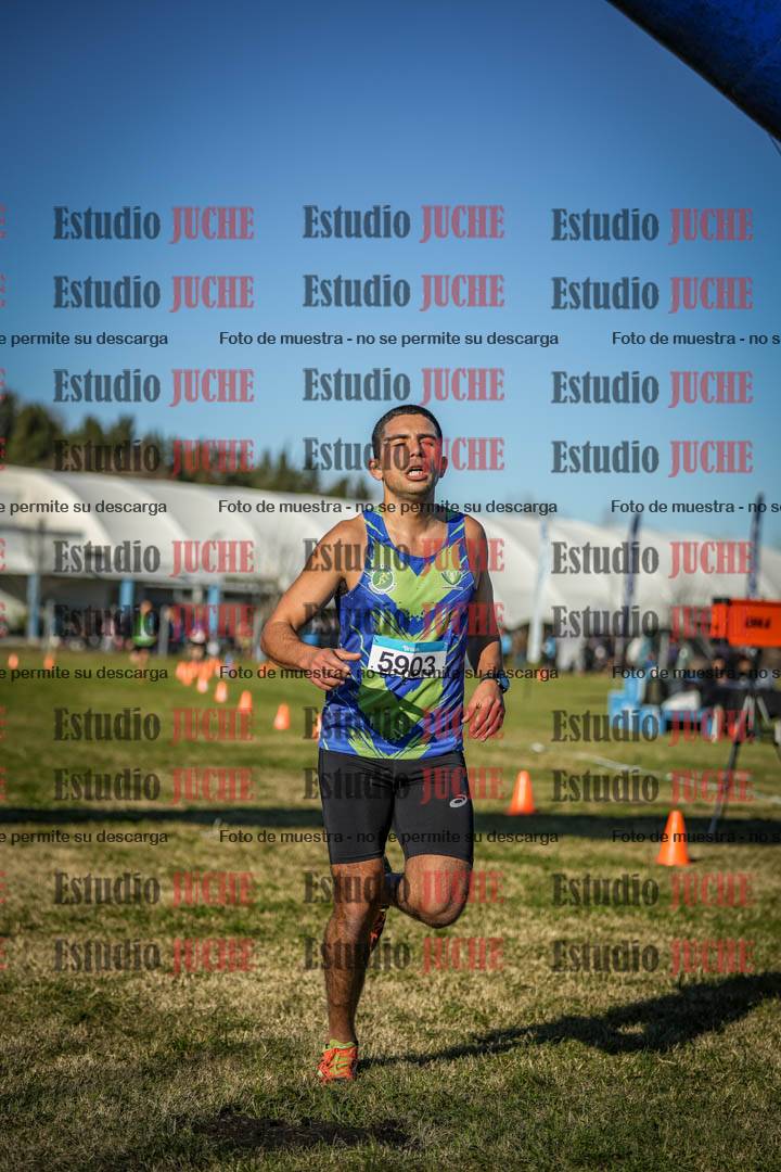 Fotos de las llegadas