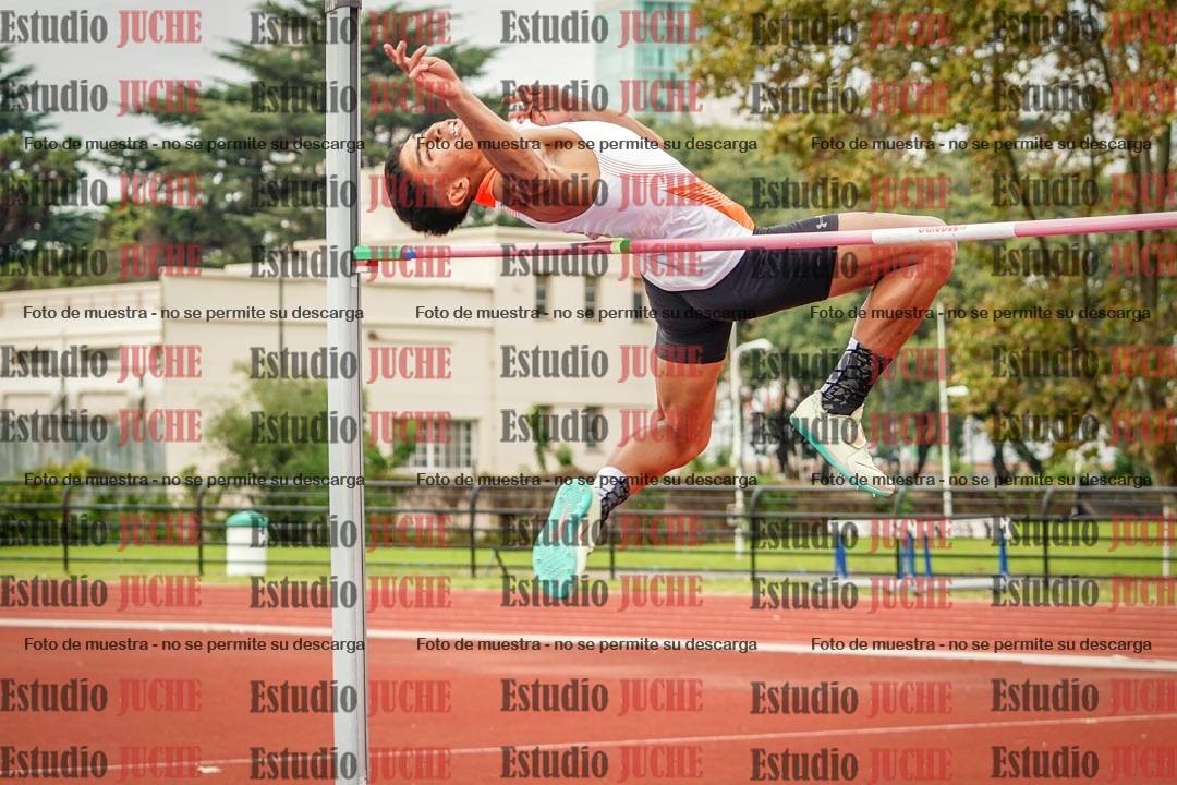 Fotos del salto en alto de varones