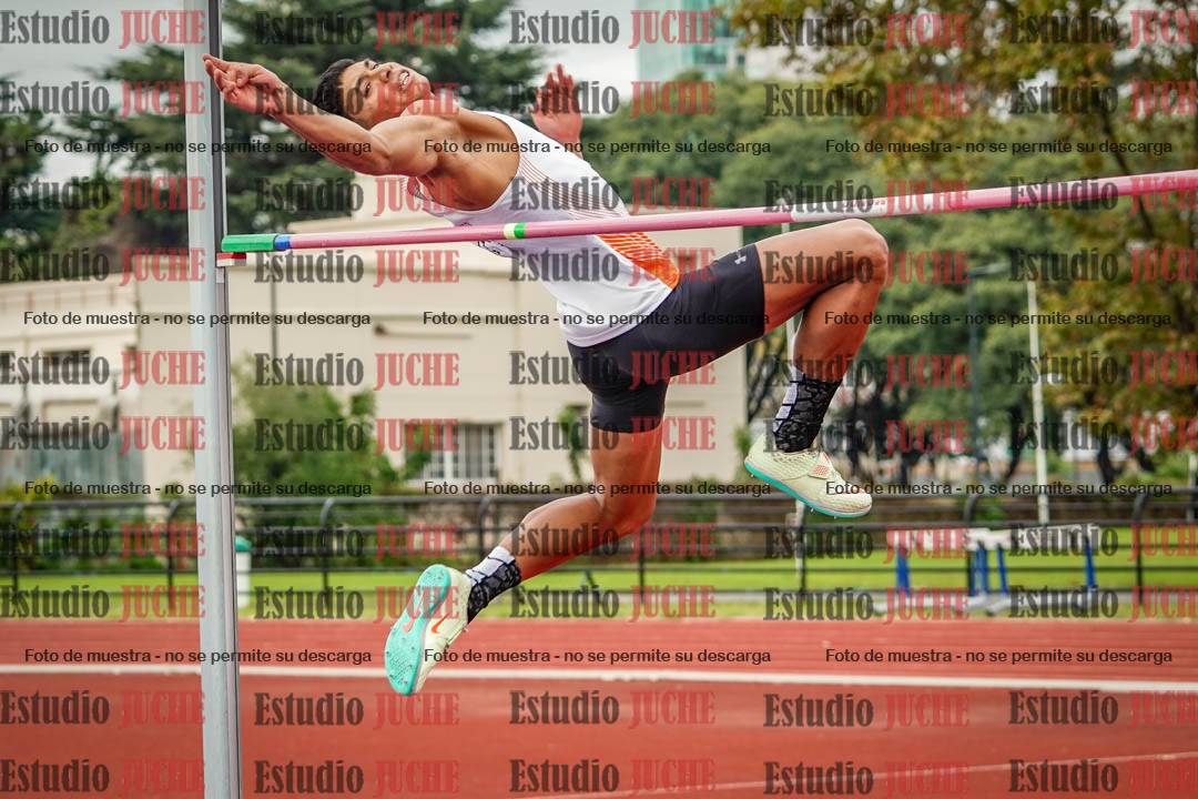 Fotos del salto en alto de varones