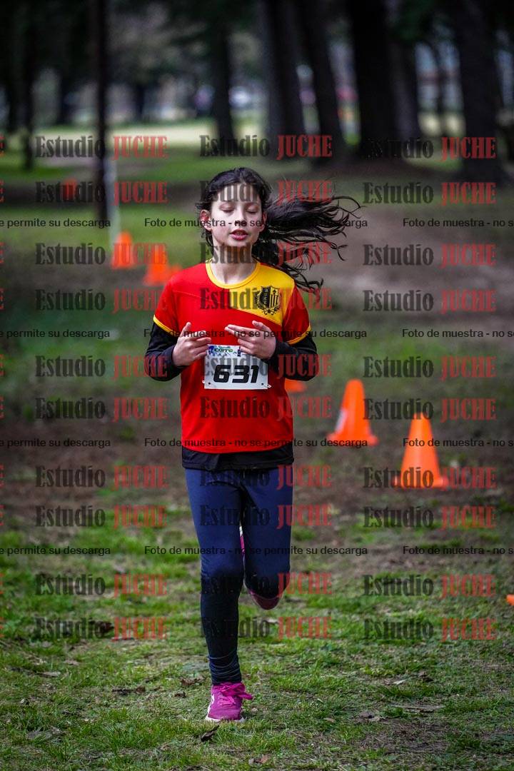 Fotos en el circuito