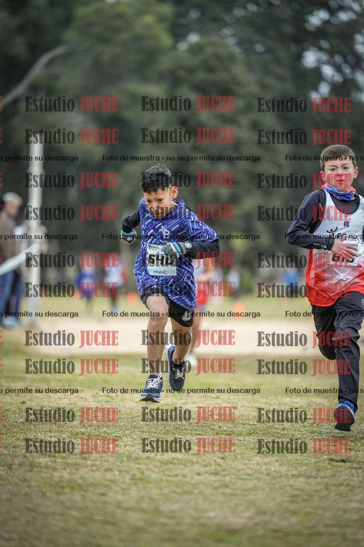 Fotos de la llegada