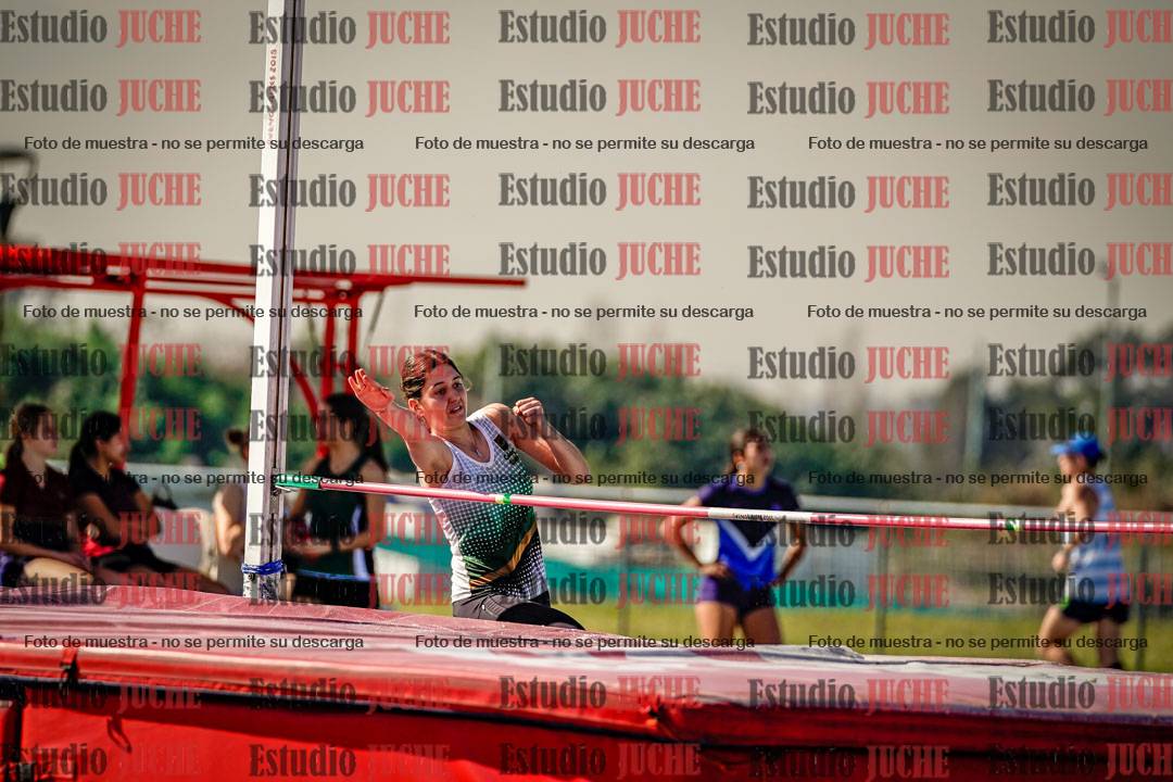 Fotos del salto en alto de mujeres - heptatlón 2