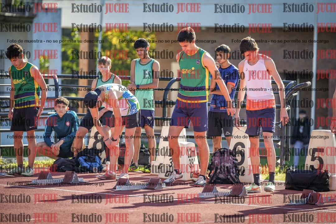 Fotos de los 110 m con vallas de varones