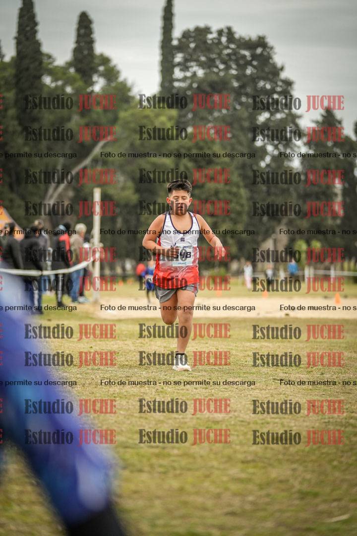 Fotos de la llegada