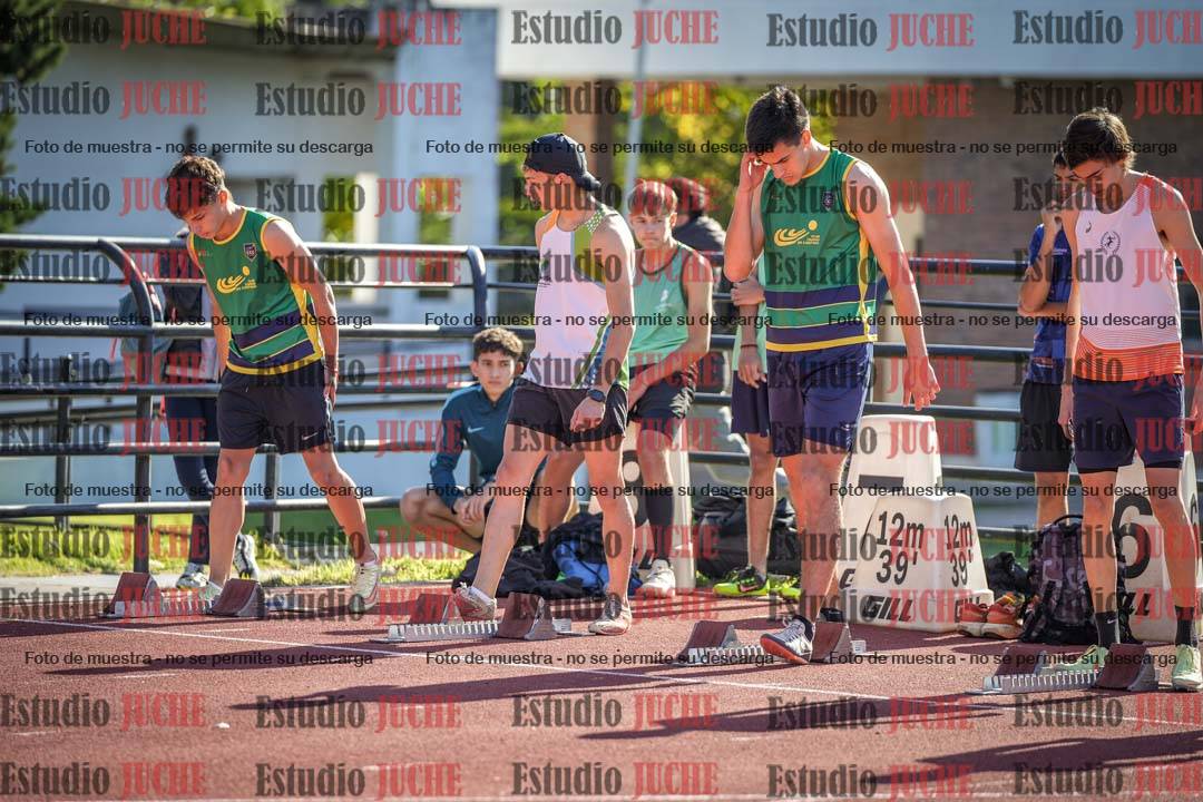Fotos de los 110 m con vallas de varones