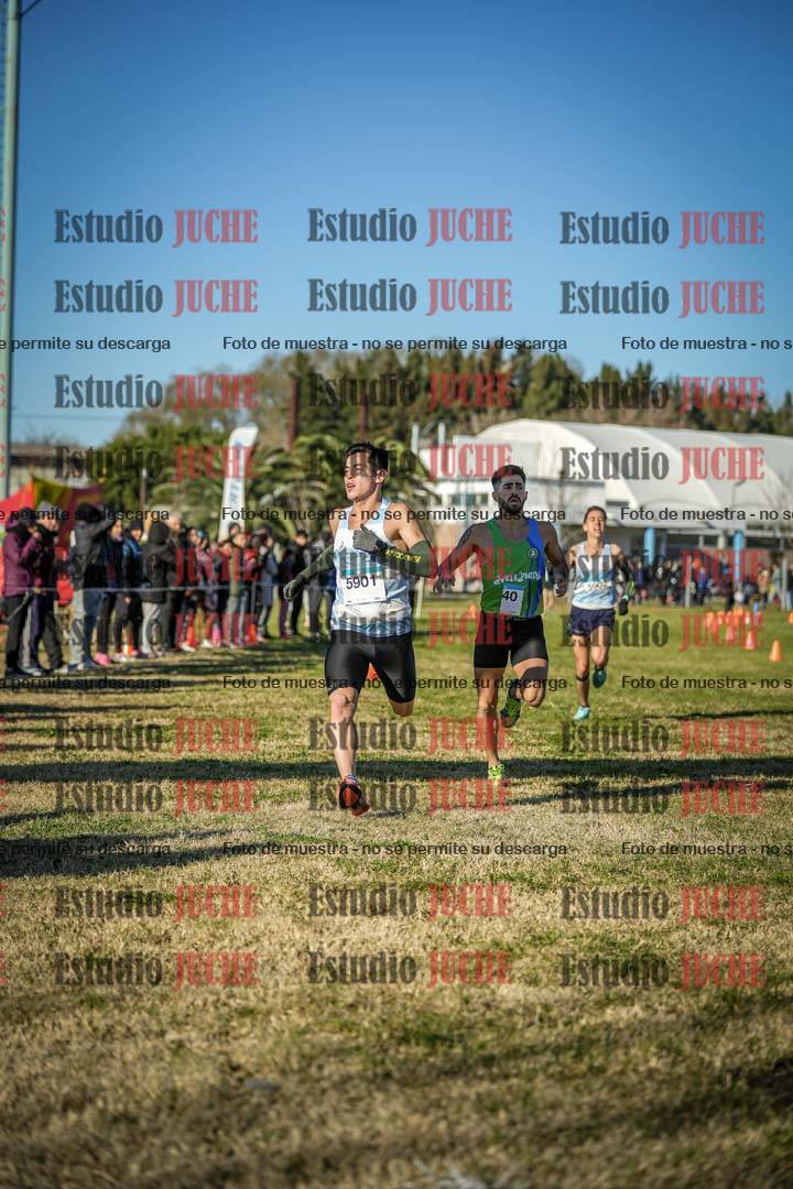 Fotos de las llegadas