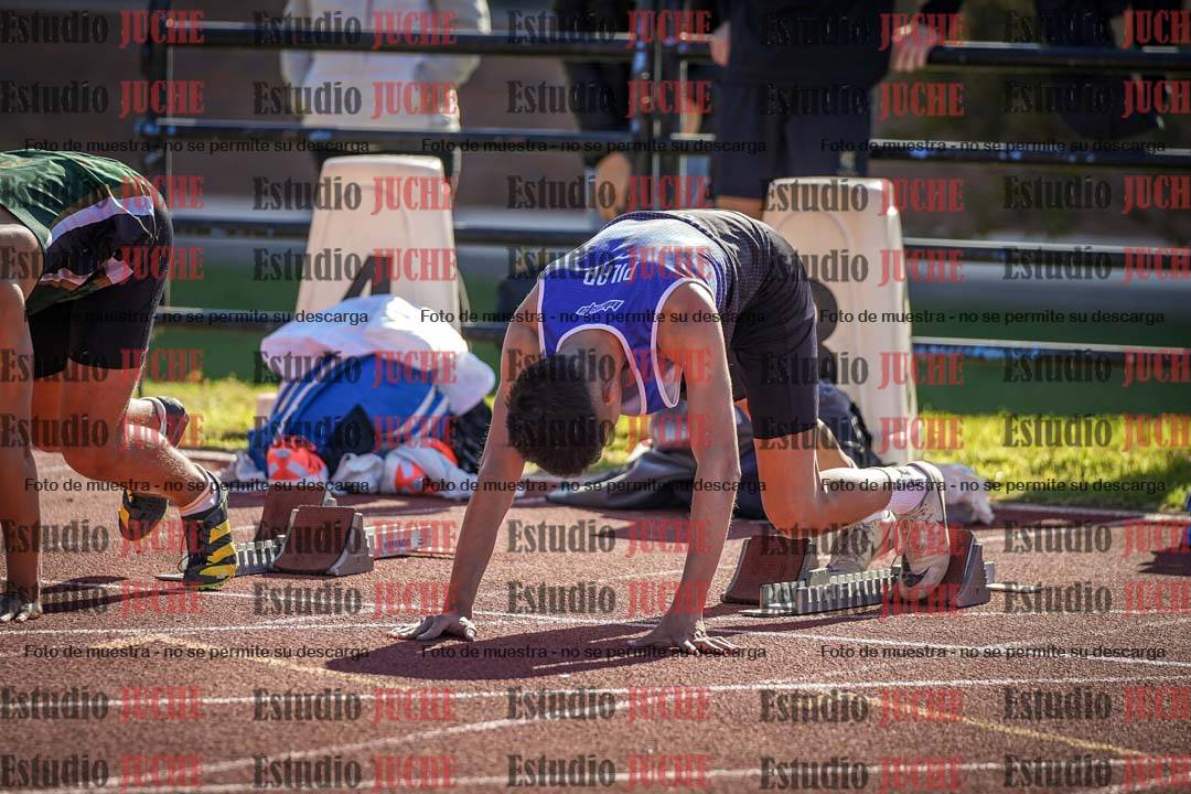 Fotos de los 110 m con vallas de varones