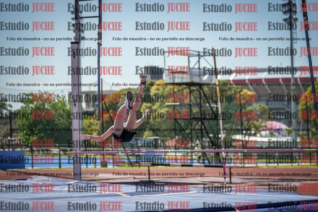 Fotos del salto con garrocha de mujeres y varones