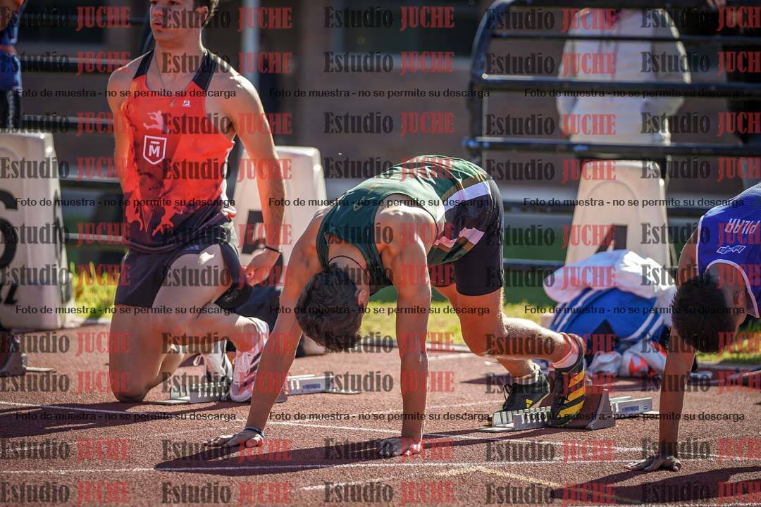 Fotos de los 110 m con vallas de varones