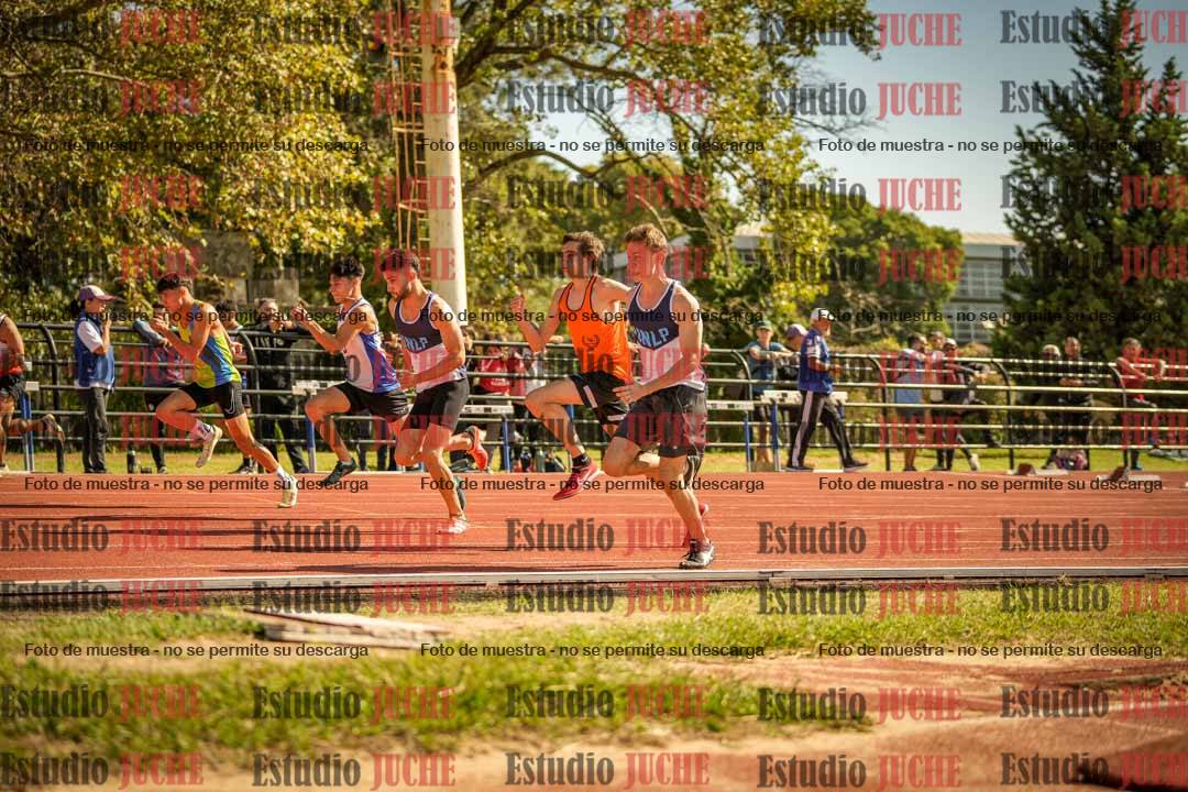 Fotos de los 100 m llanos de varones