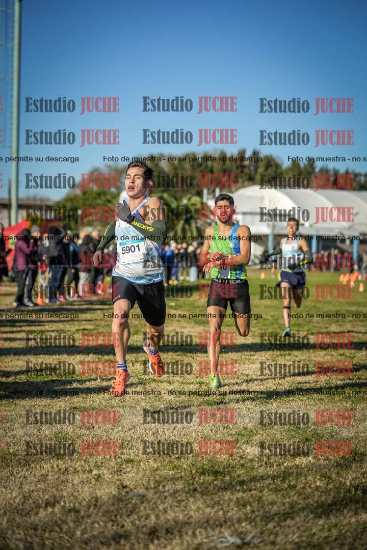 Fotos de las llegadas