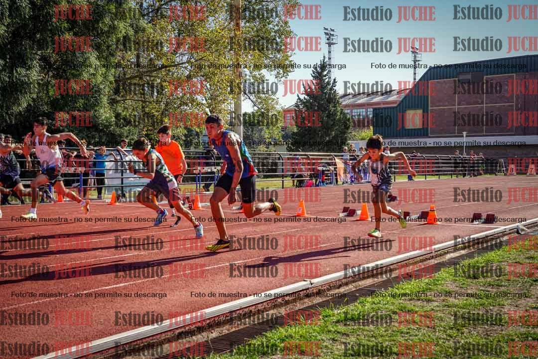 Fotos de los 80 m llanos de varones
