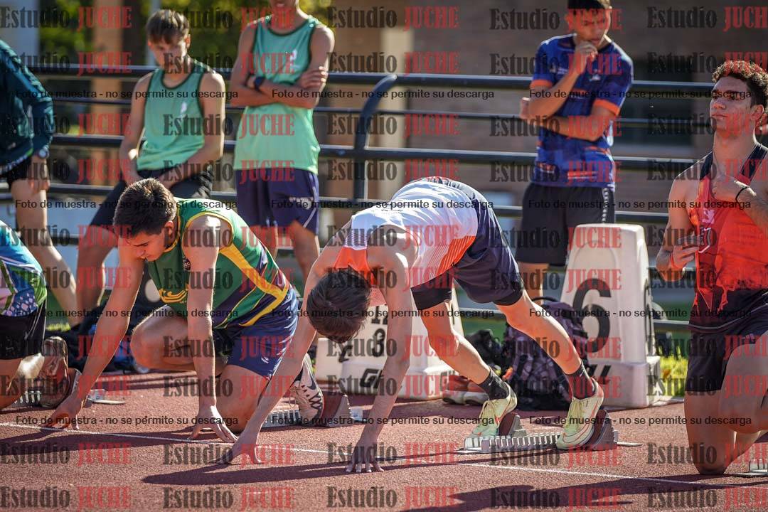 Fotos de los 110 m con vallas de varones