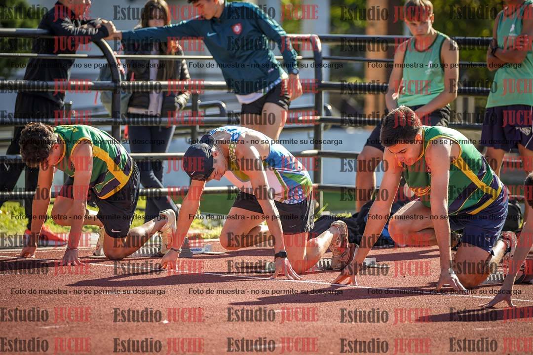 Fotos de los 110 m con vallas de varones
