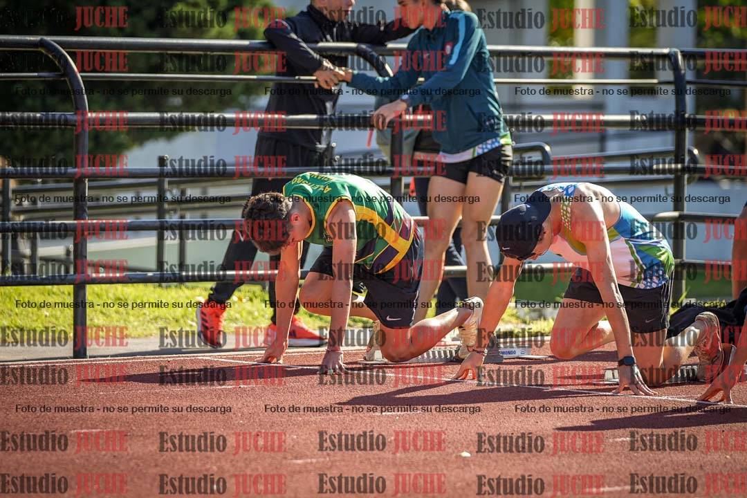 Fotos de los 110 m con vallas de varones