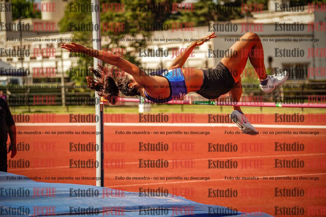 Fotos del salto con garrocha de mujeres y varones