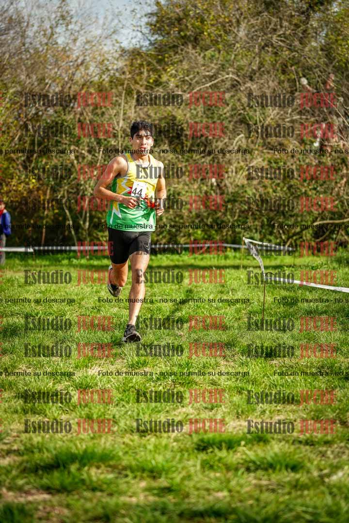 Fotos en el circuito