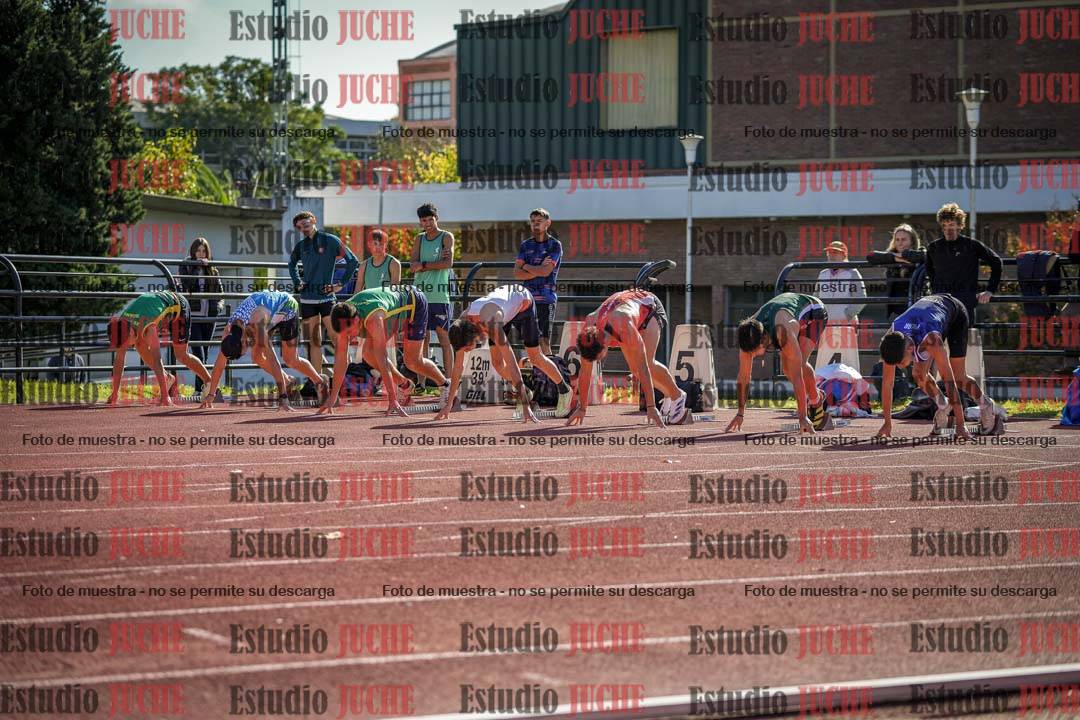 Fotos de los 110 m con vallas de varones