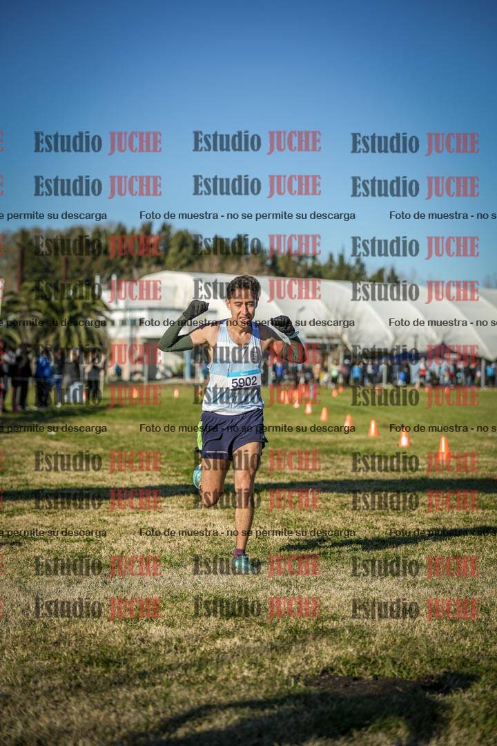 Fotos de las llegadas
