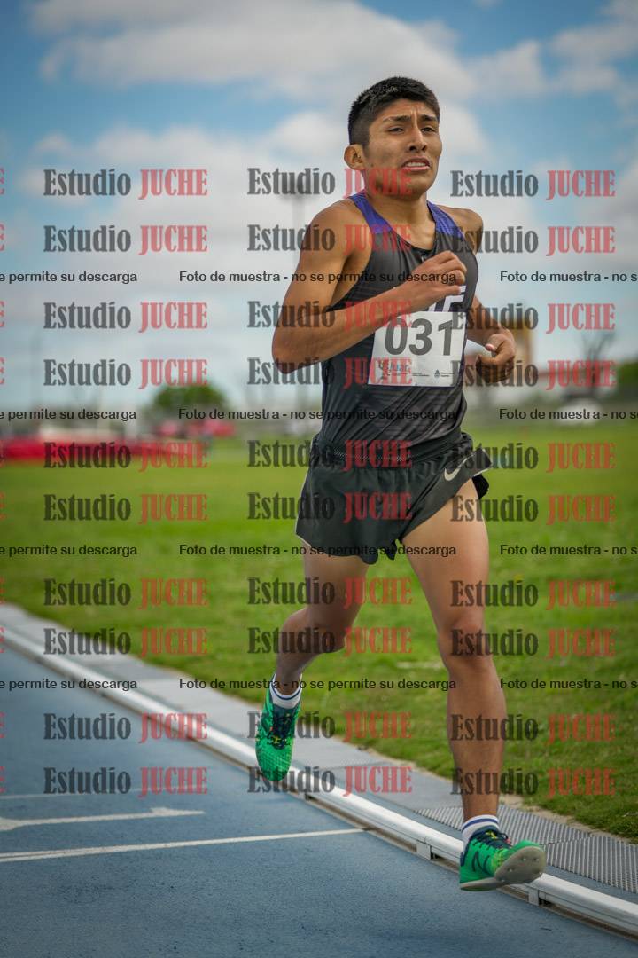Fotos de los 1000 m llanos de varones