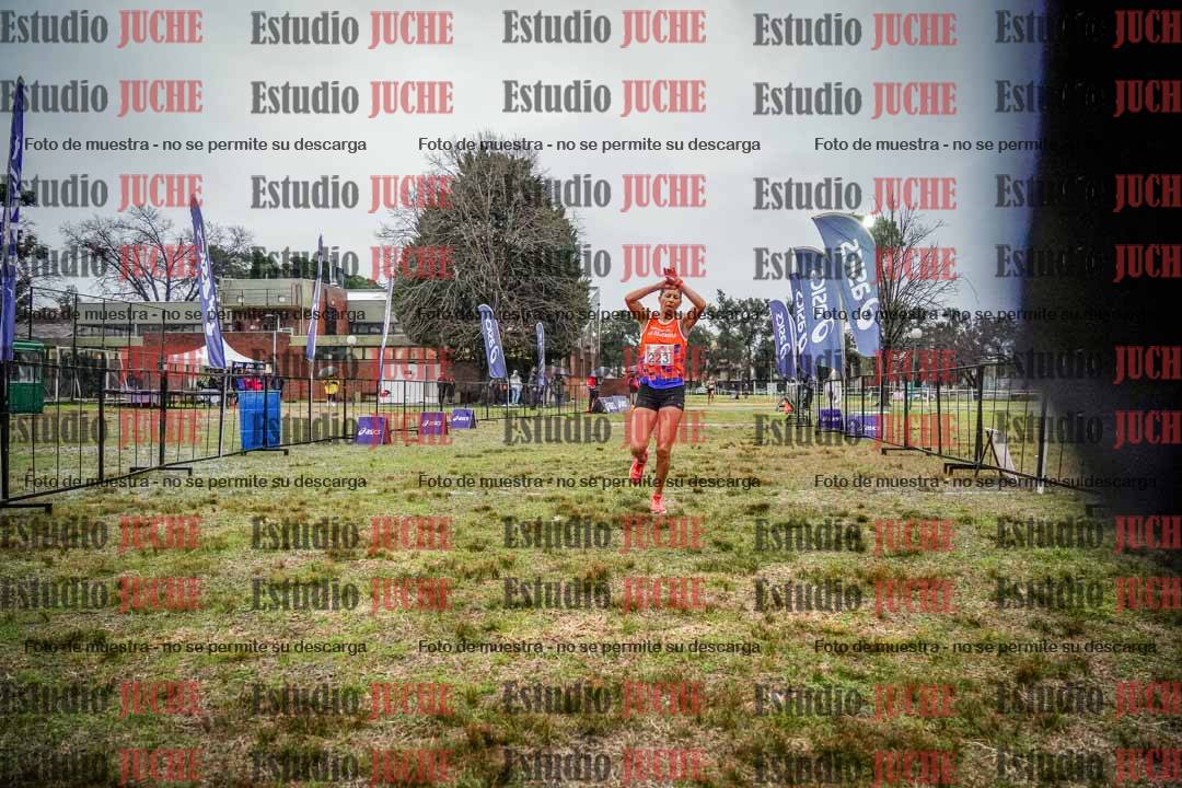 Fotos de la llegada
