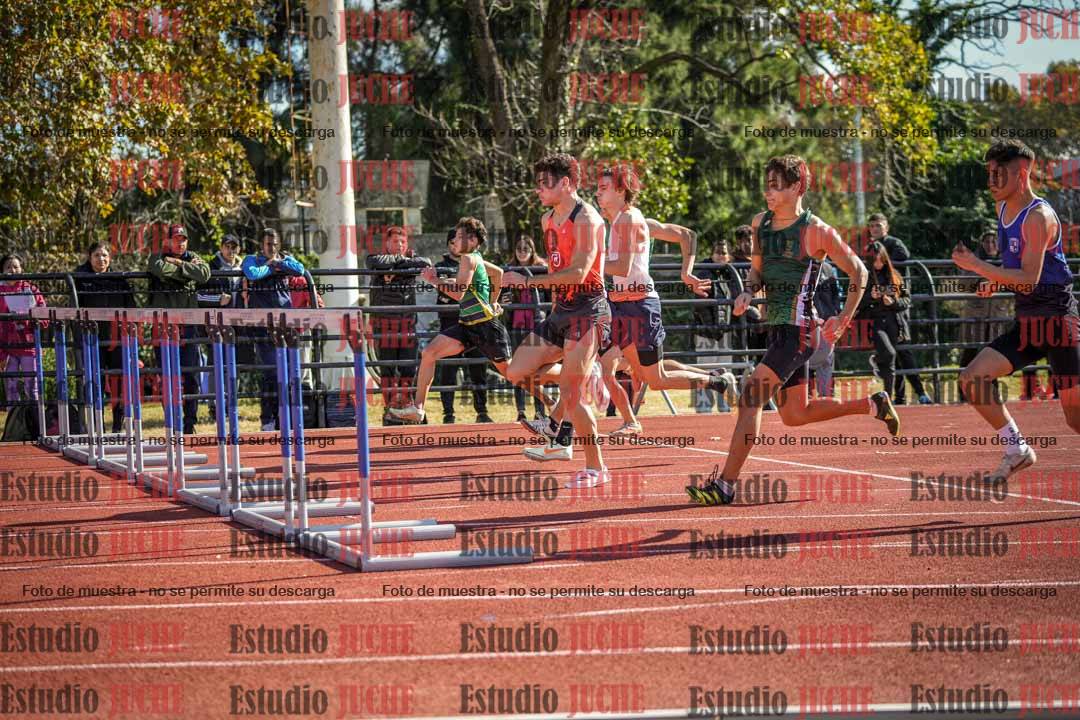 Fotos de los 110 m con vallas de varones