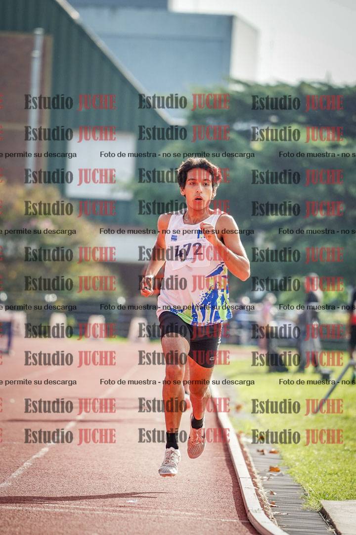 Fotos de los 5000 m llanos