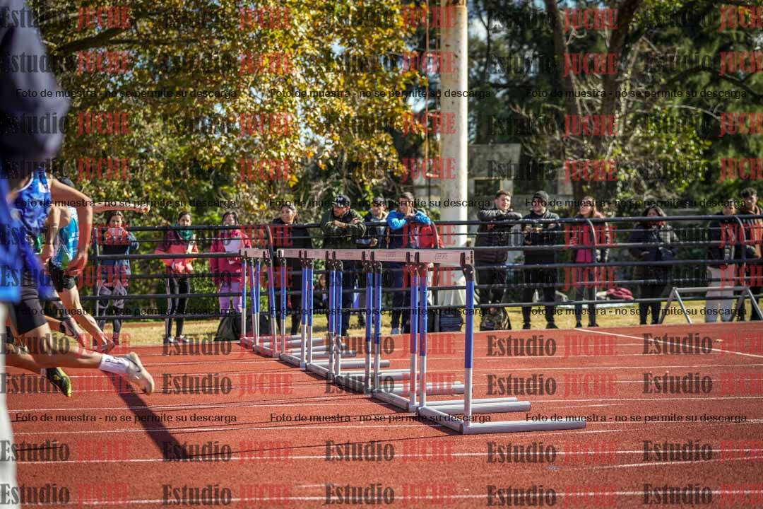 Fotos de los 110 m con vallas de varones