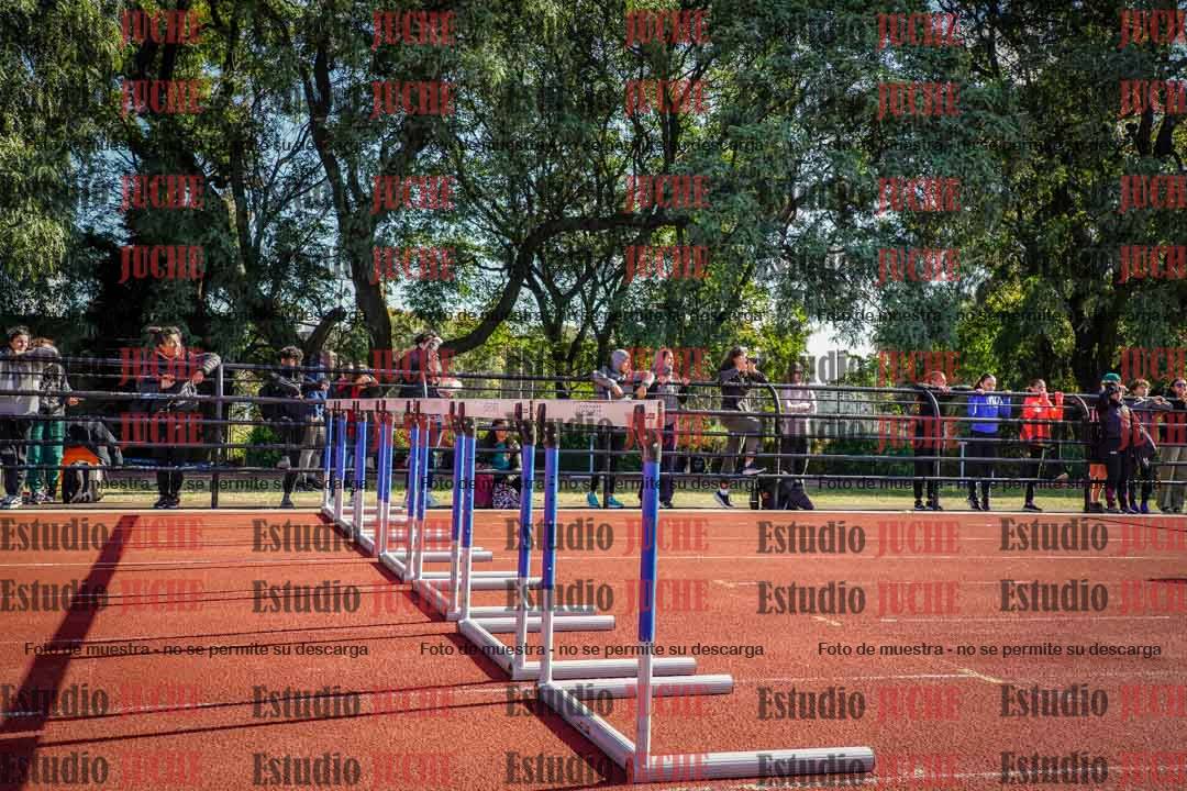 Fotos de los 110 m con vallas de varones