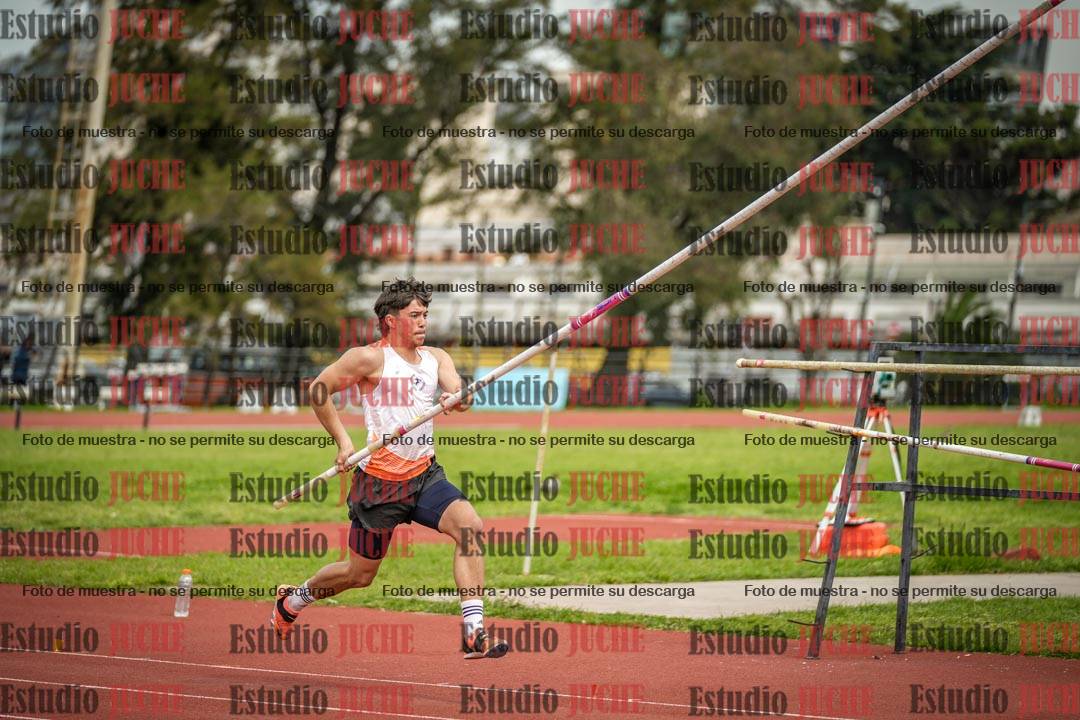 Fotos del salto con garrocha de varones