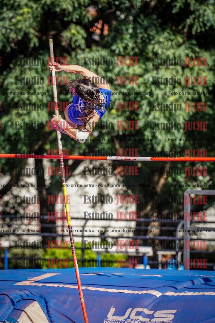 Fotos del salto con garrocha de mujeres y varones