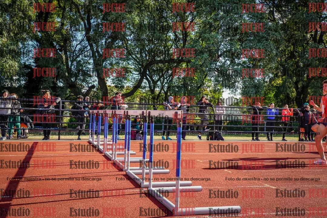 Fotos de los 110 m con vallas de varones