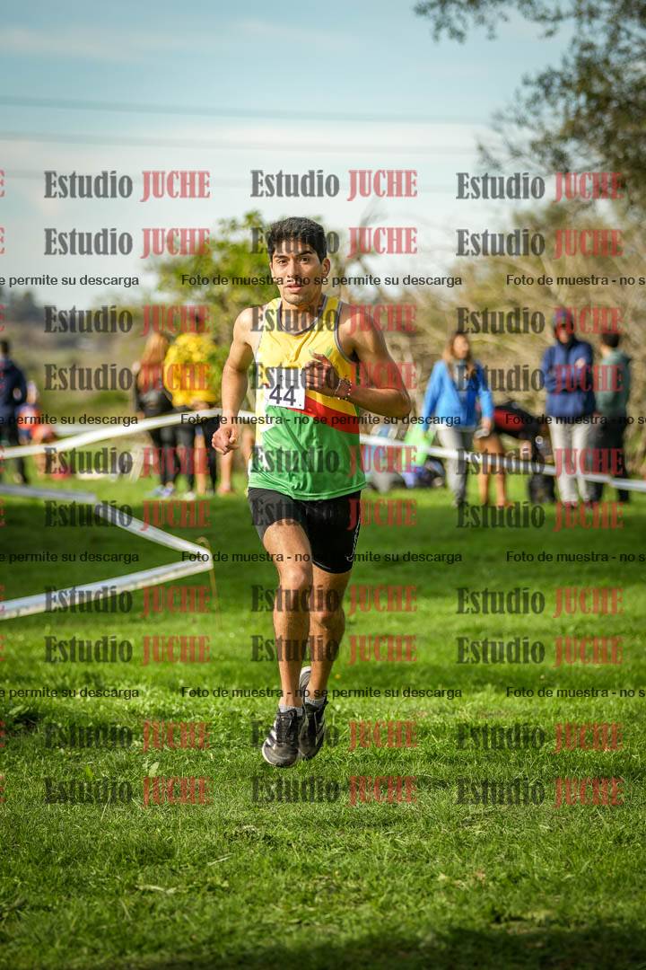 Fotos de la llegada del cross de 4000 m - varones