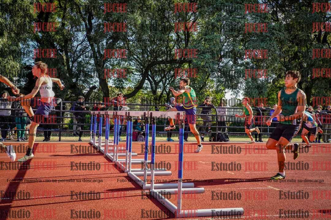 Fotos de los 110 m con vallas de varones