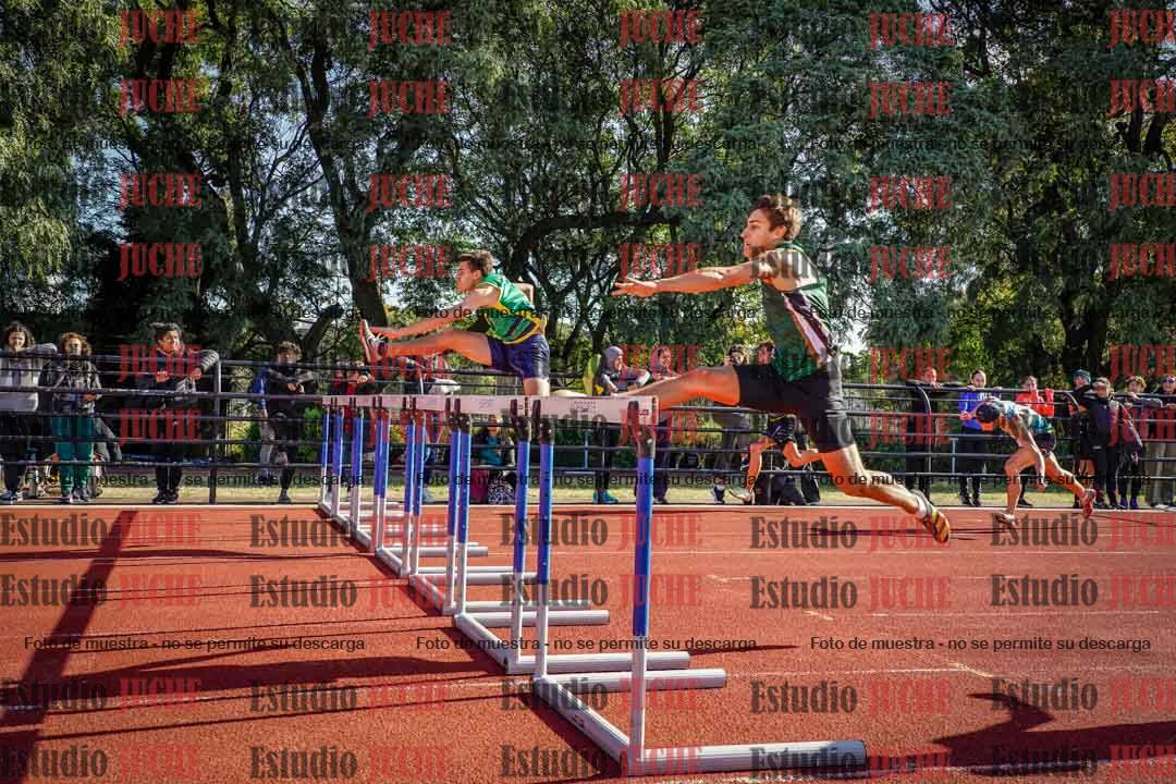 Fotos de los 110 m con vallas de varones