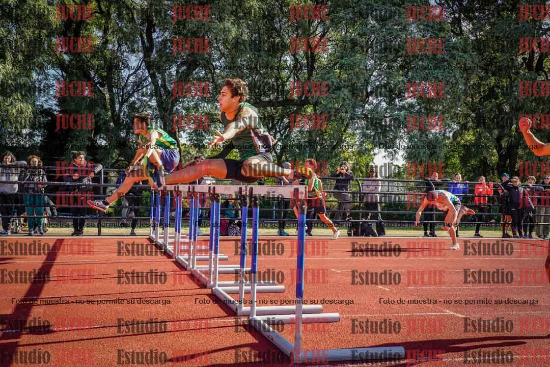 Fotos de los 110 m con vallas de varones