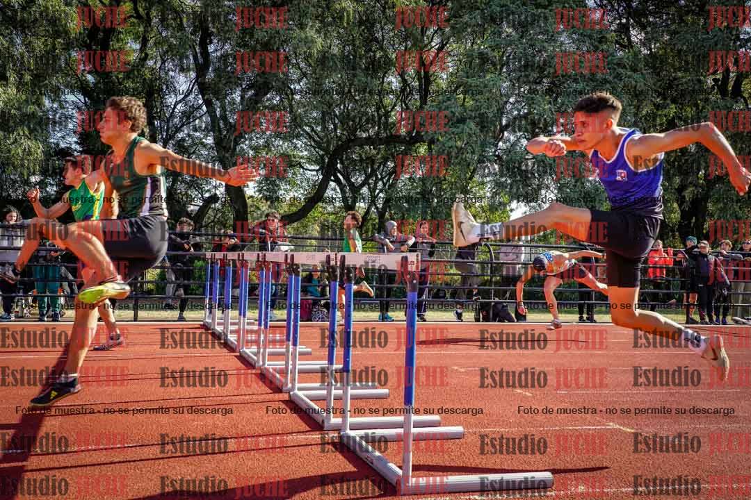 Fotos de los 110 m con vallas de varones