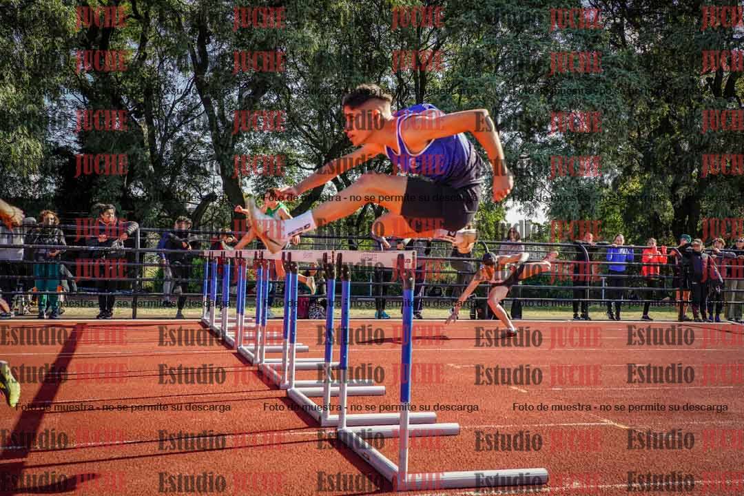 Fotos de los 110 m con vallas de varones