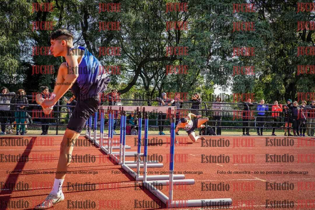 Fotos de los 110 m con vallas de varones