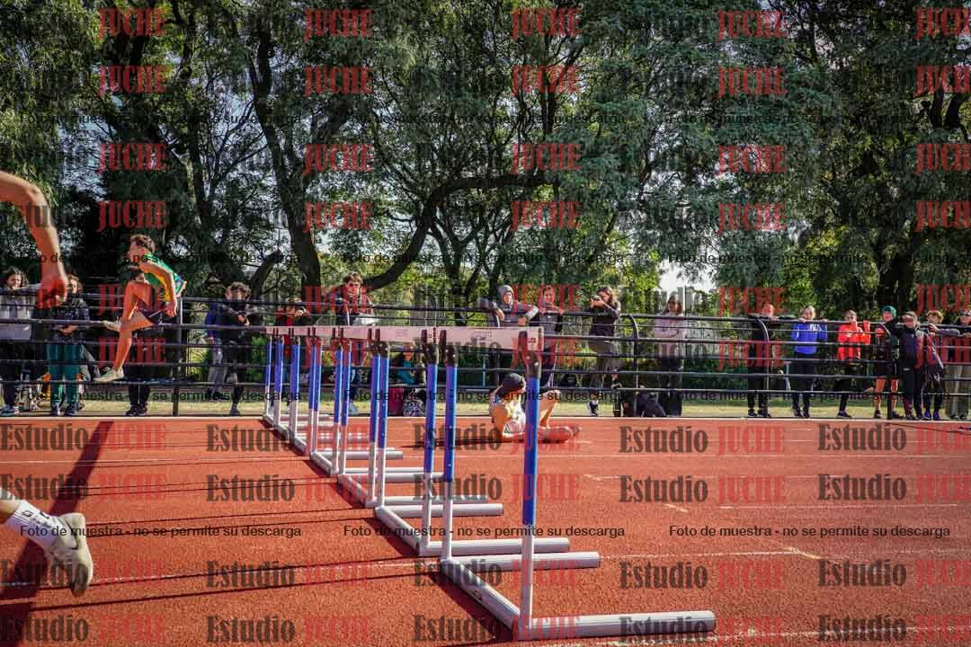 Fotos de los 110 m con vallas de varones