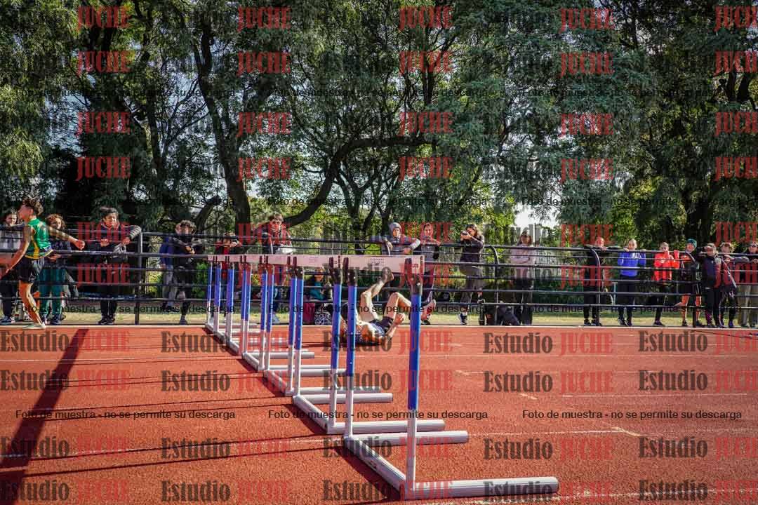 Fotos de los 110 m con vallas de varones