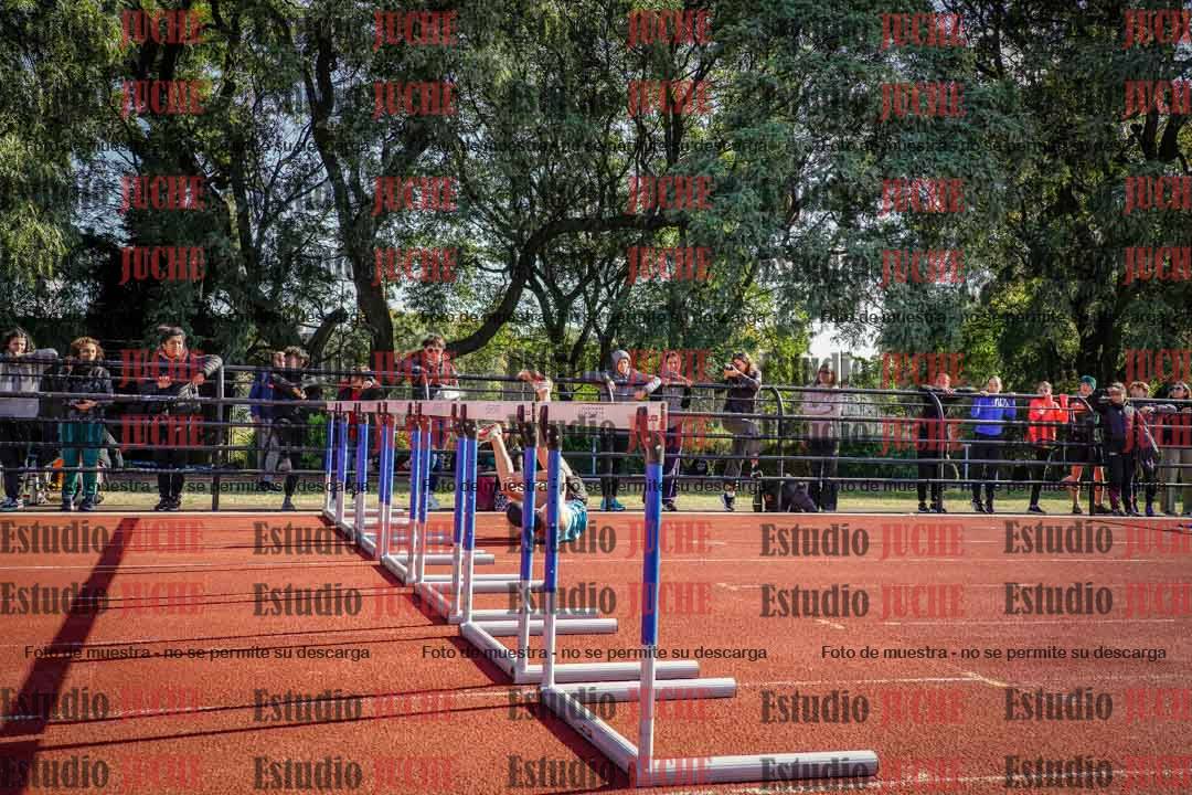 Fotos de los 110 m con vallas de varones