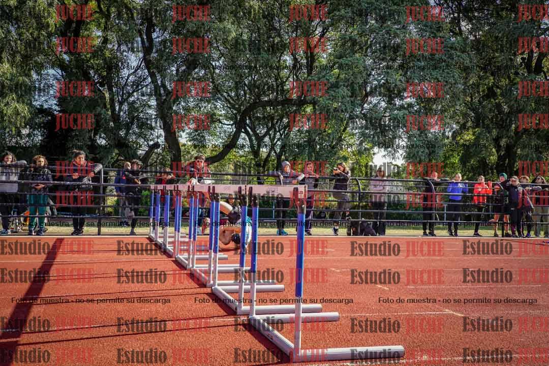 Fotos de los 110 m con vallas de varones