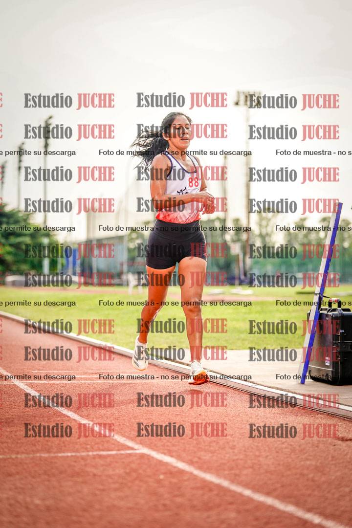 Fotos de los 3000 m llanos de mujeres