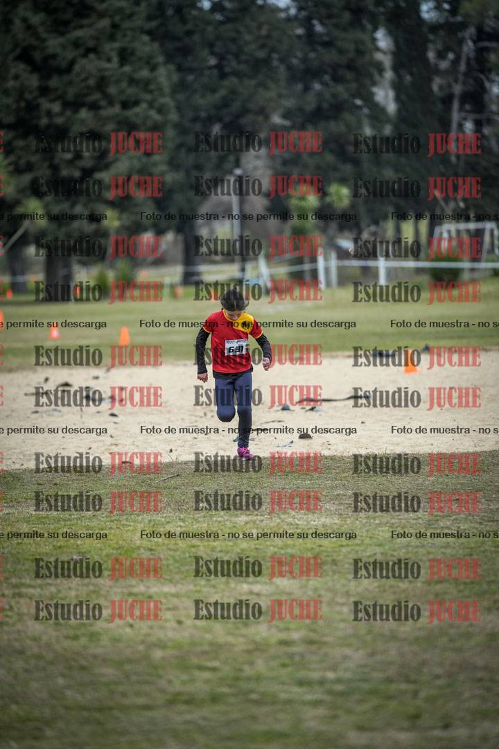 Fotos de la llegada