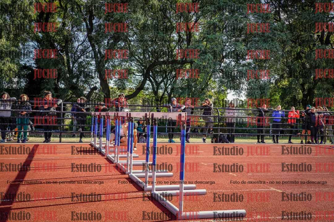 Fotos de los 110 m con vallas de varones