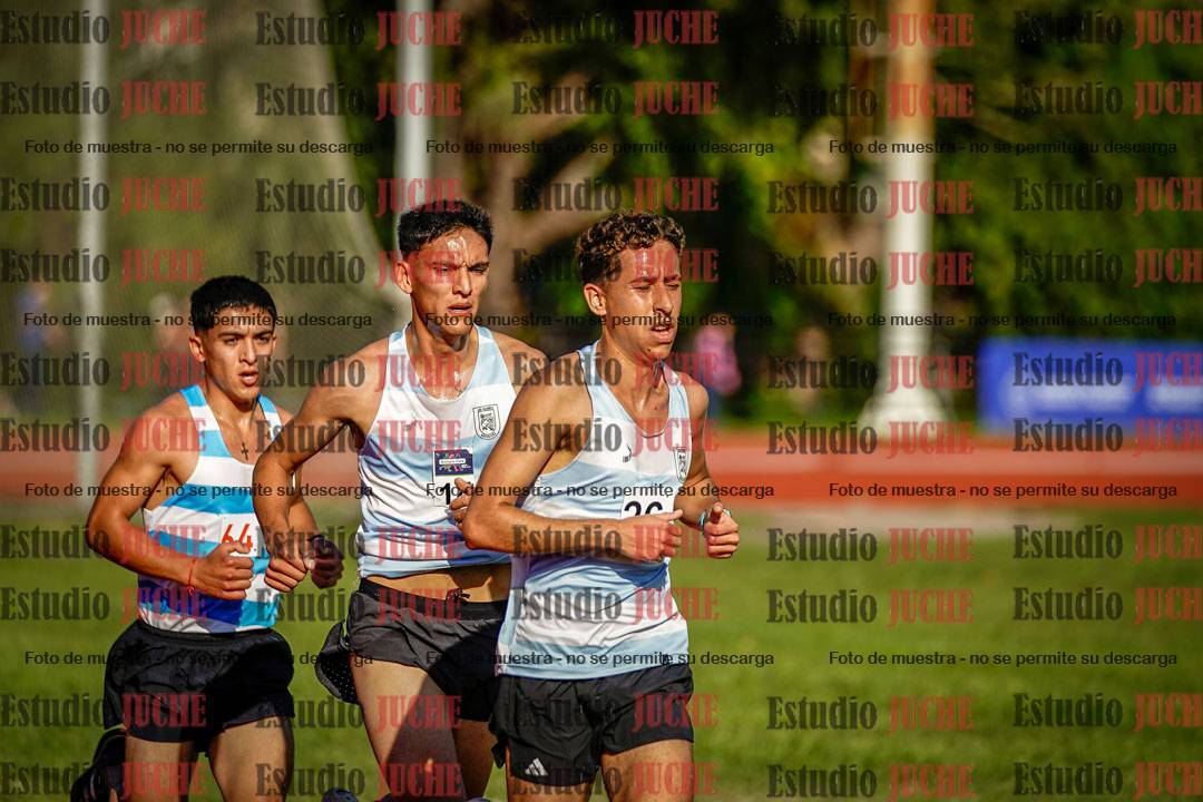 Fotos de los 10.000 m llanos