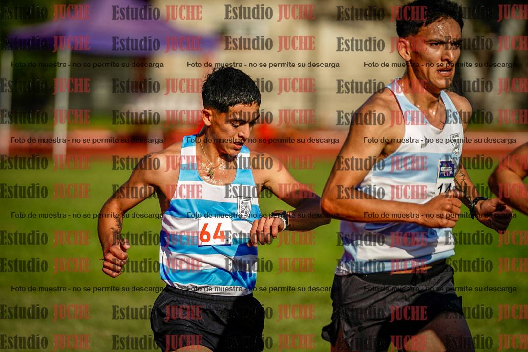Fotos de los 10.000 m llanos