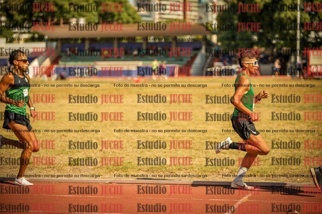 Fotos de los 3000 m llanos de varones