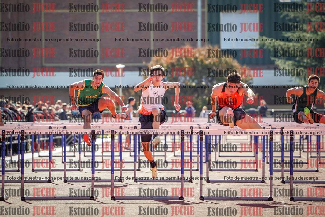 Fotos de los 110 m con vallas de varones